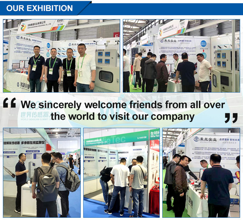 China Henan Bingsheng Industrial Co., Ltd. Perfil da companhia
