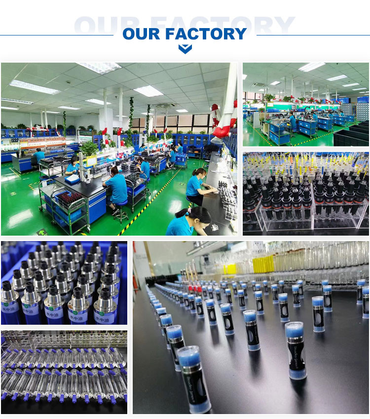 China Henan Bingsheng Industrial Co., Ltd. Perfil da companhia