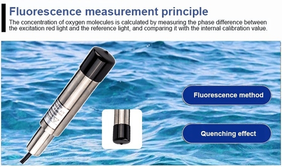 RS 485 Sensor óptico de oxigénio dissolvido para medição de fluorescência na aquicultura